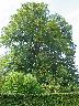 imk_8244_k.jpg