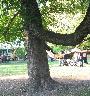 imk_8258_k.jpg