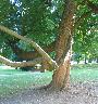imk_8261_k.jpg