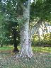 imk_8265_k.jpg