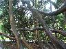 imk_8283_k.jpg