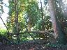 imk_8325_k.jpg