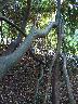 imk_8328_k.jpg