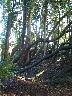 imk_8329_k.jpg