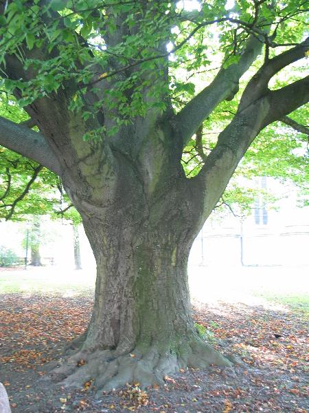 imk_8469_g.jpg