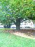 imk_8471_k.jpg