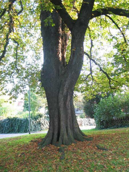 imk_8479_g.jpg