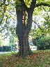 imk_8479_k.jpg