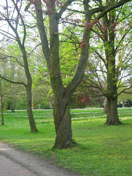 imm_0340_g.jpg