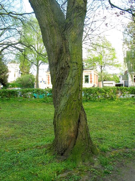imm_0341_g.jpg