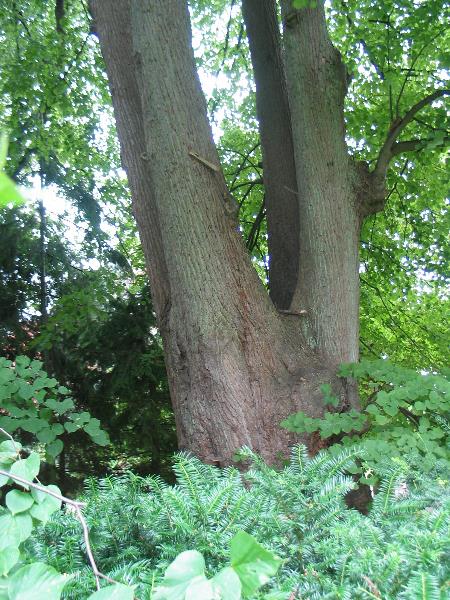 imm_1735_g.jpg