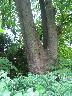 imm_1735_k.jpg
