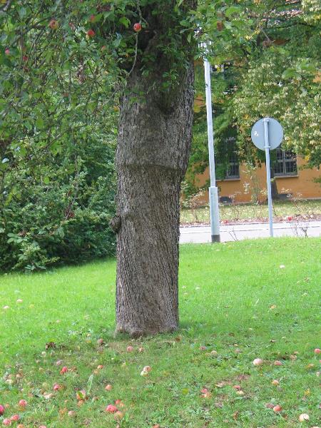imm_2280_g.jpg