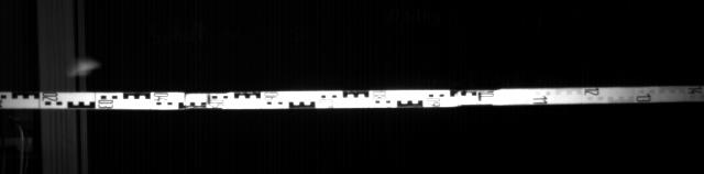 balck-01-12-003_seq01_img0008_g.jpg