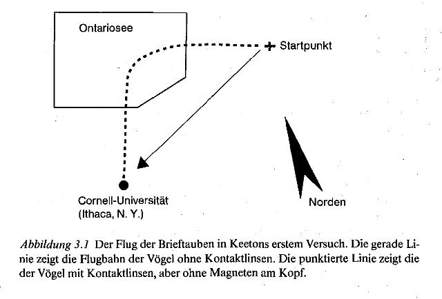 becker--der-funke-des-lebens-1991-ocr-abb03-1_g.jpg