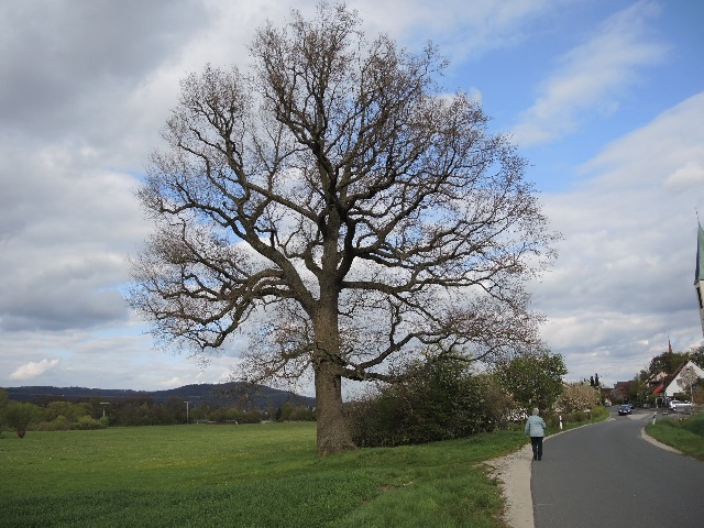 dscn9044_g.jpg