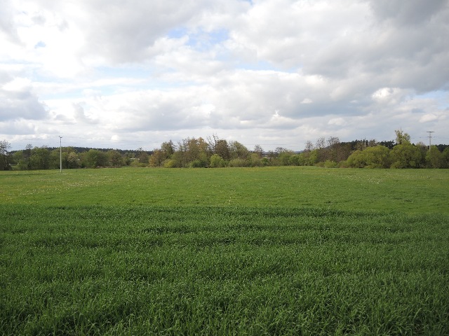 dscn9045_g.jpg