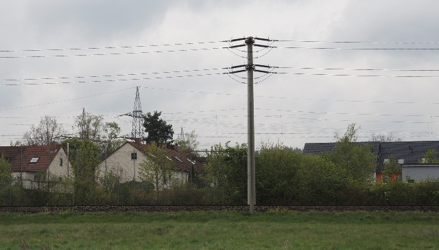 dscn9065_g.jpg