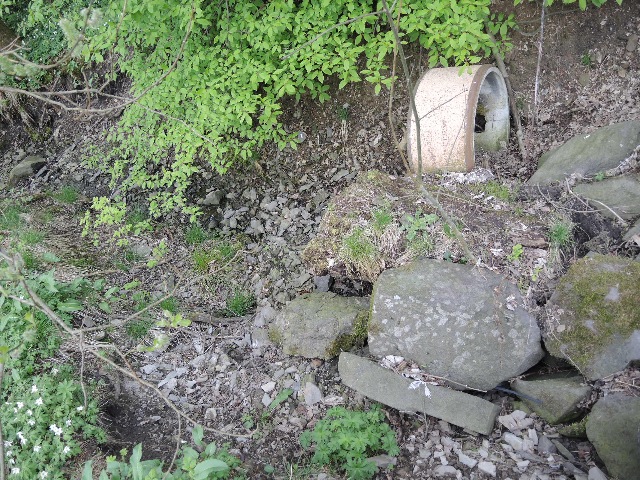 dscn9203_g.jpg