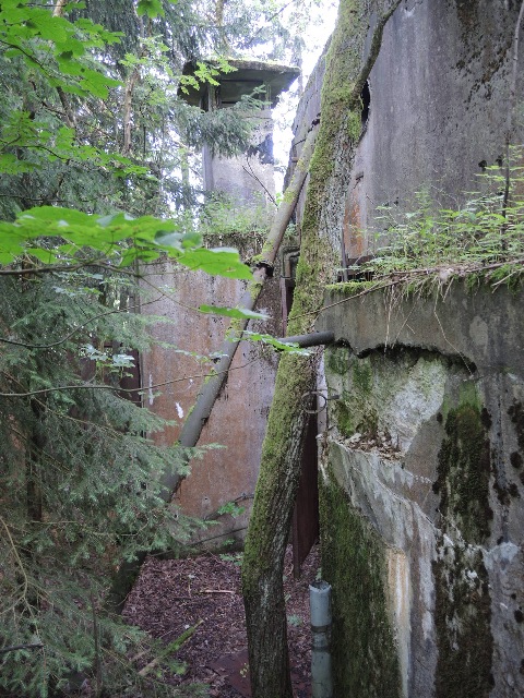 dscn9921_g.jpg