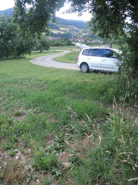 dsco2535_g.jpg