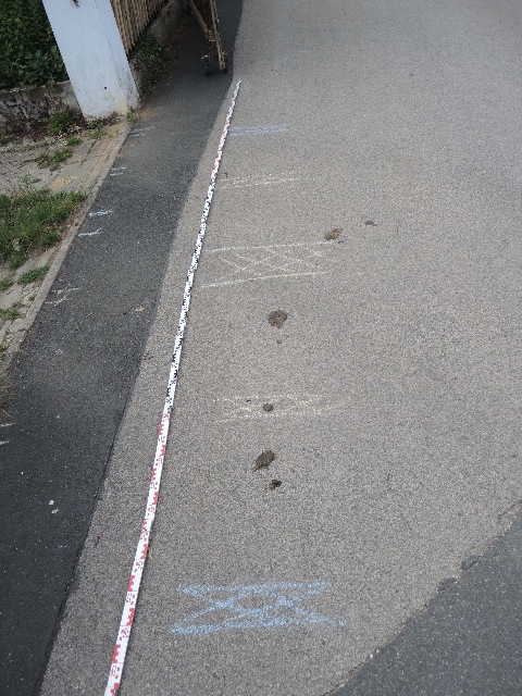 dsco2553_g.jpg