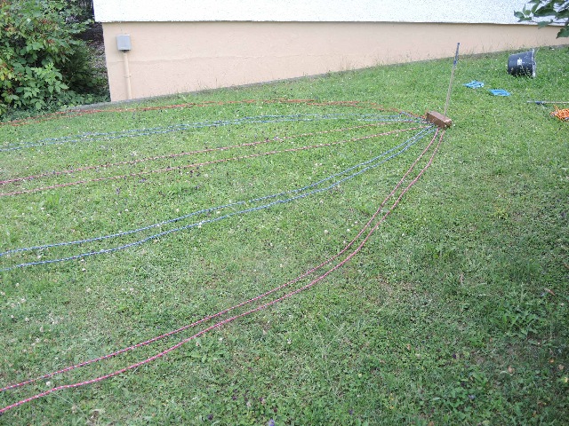 dsco2555_g.jpg