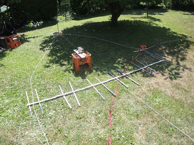 dsco2613_g.jpg