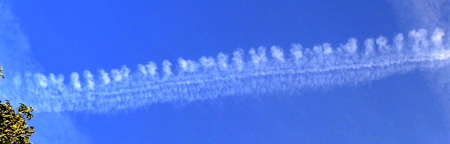 dsco2724-c_g.jpg