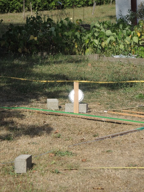 dsco3110_g.jpg