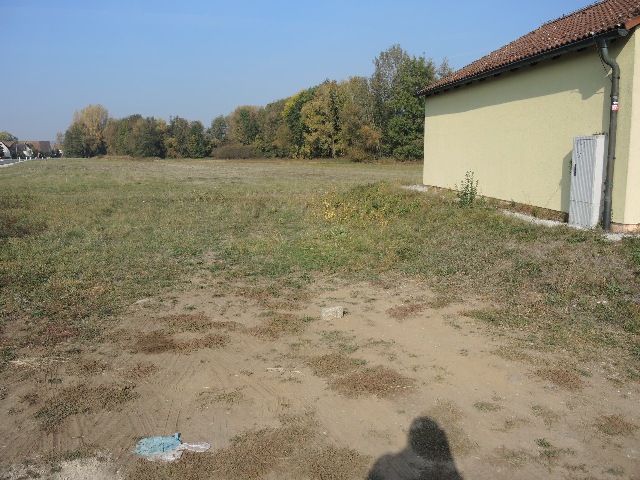 dsco3483_g.jpg