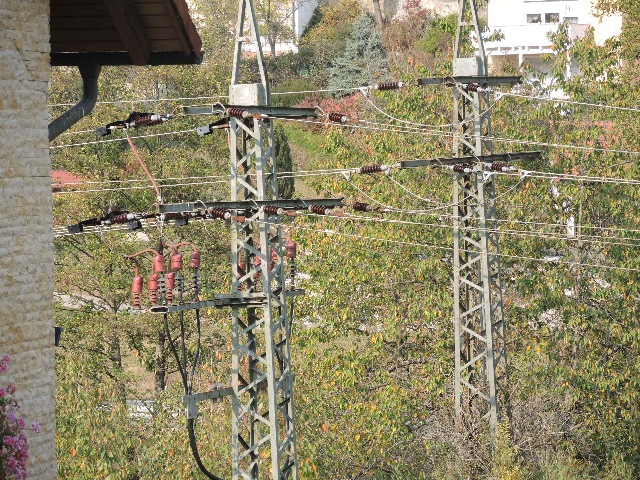 dsco3485_g.jpg