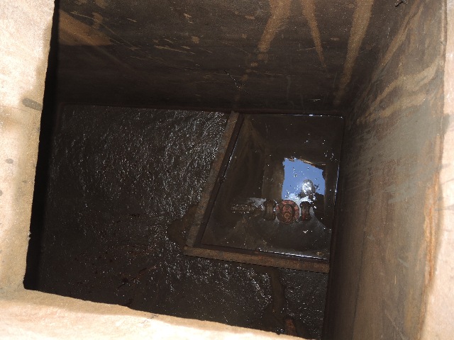 dsco5051_g.jpg