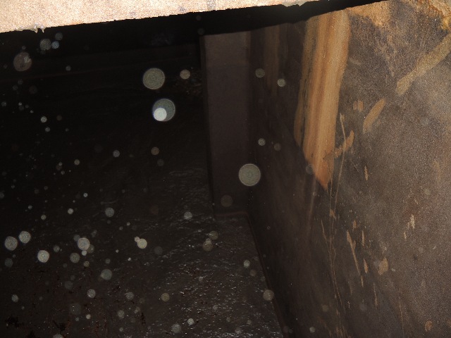 dsco5053_g.jpg