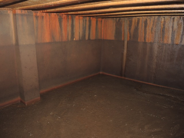 dsco5061_g.jpg