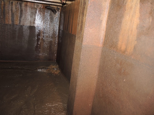 dsco5064_g.jpg
