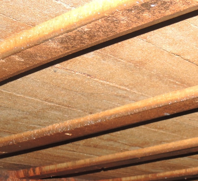 dsco5065-a_g.jpg