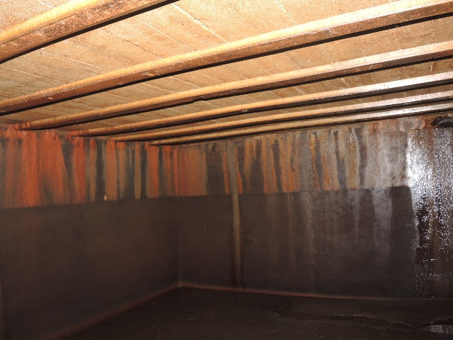 dsco5065_g.jpg