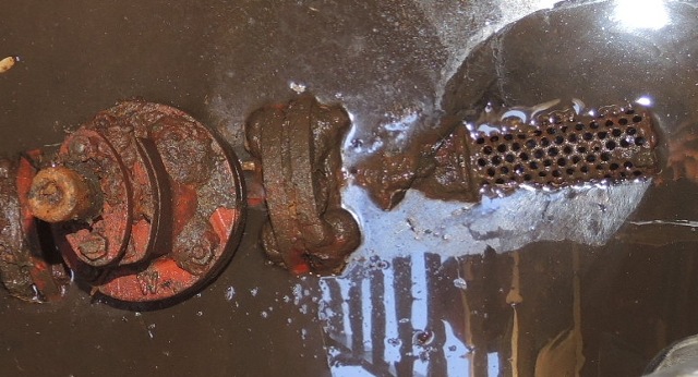 dsco5066-a_g.jpg