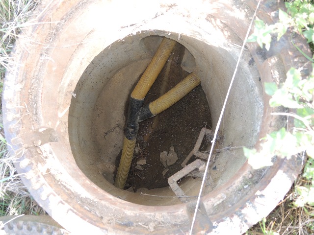 dsco5069_g.jpg