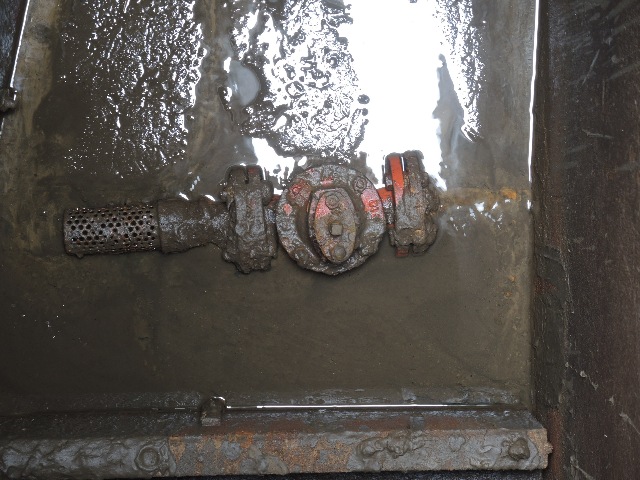 dsco5106_g.jpg