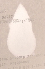 dsco5345-b.jpg
