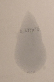 dsco5346-b.jpg