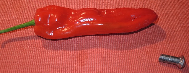 dsco5513-a_g.jpg