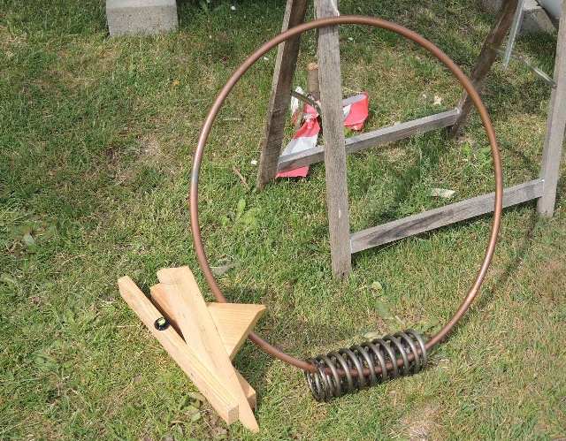 dsco5907_g.jpg