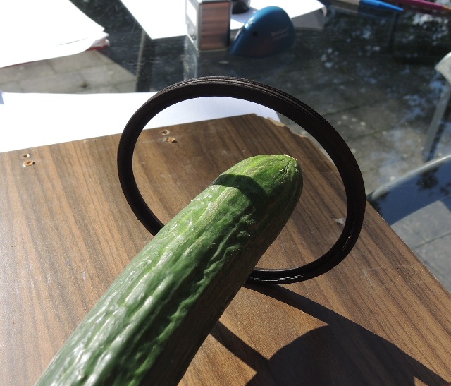 dsco6013_g.jpg