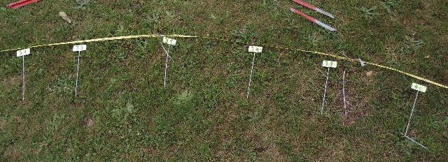dsco6109_g.jpg