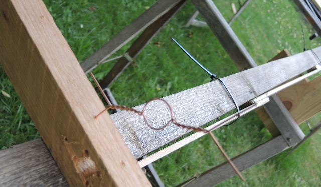 dsco6404_g.jpg