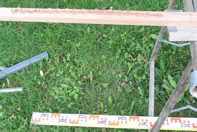 dsco6410_g.jpg