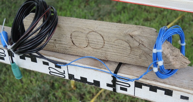 dsco6442_g.jpg